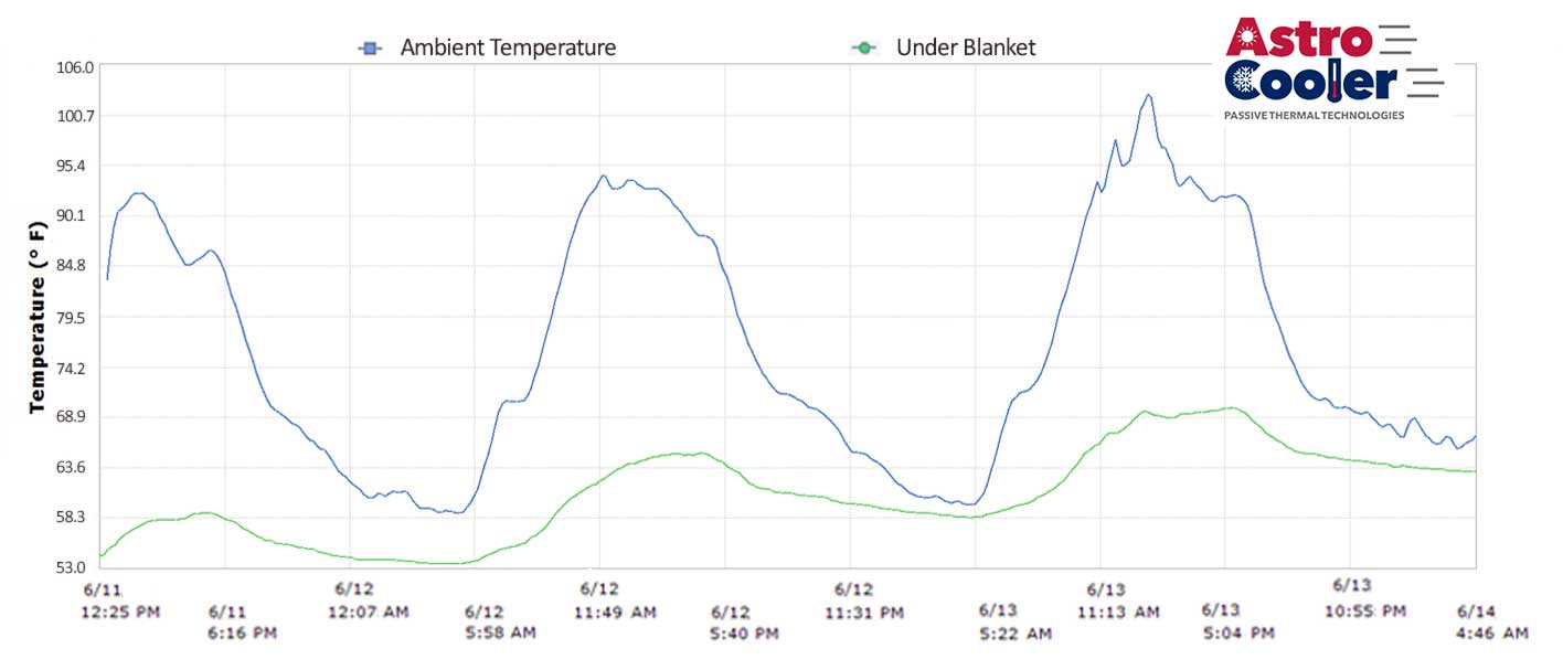 2 day winter – Truckload with blanket